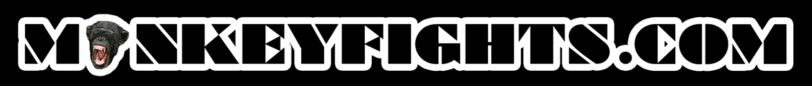 IT'S ON
